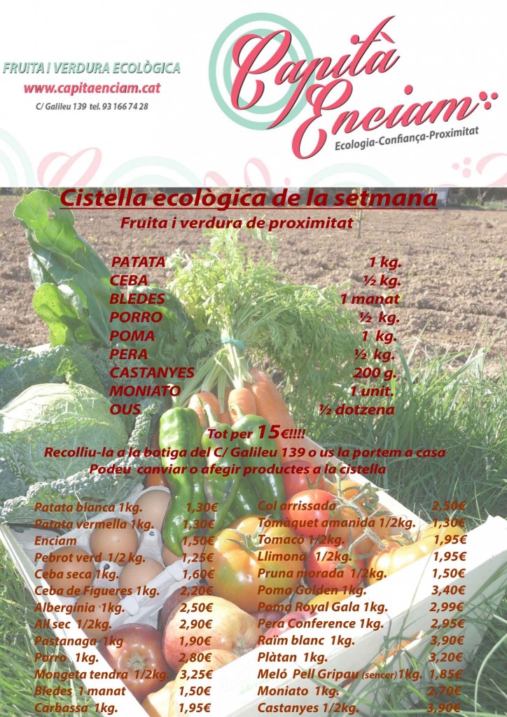 Cistella 2014-10-25